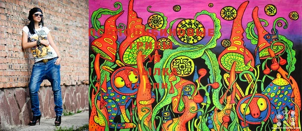 ECSTASY Дмитров