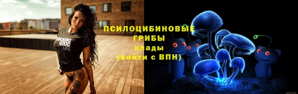 mix Пересвет