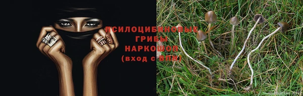 прущие крисы Дмитриев